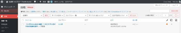 【テーマJIN】ブログ記事の投稿